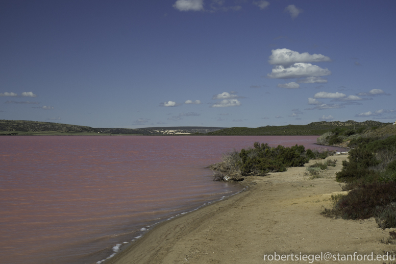 pink lake